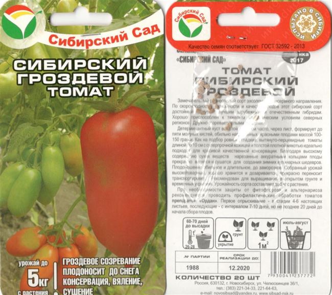 Описание и характеристика томата Сибирский гроздевой, отзывы, фото