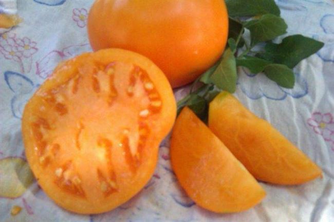 Плюсы и минусы сорта помидор Янтарный
