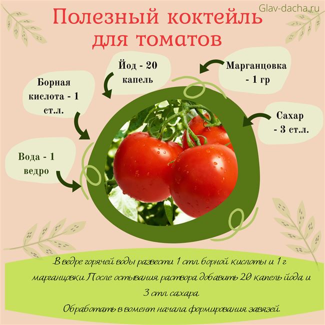 Народные рецепты от болезней томатов