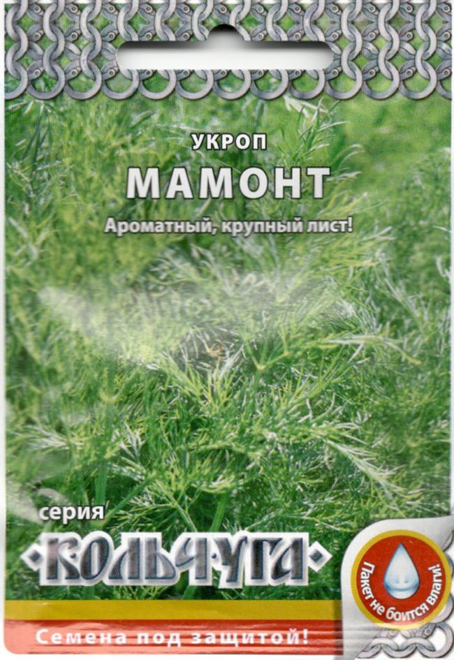Подбор сорта в зависимости от региона выращивания