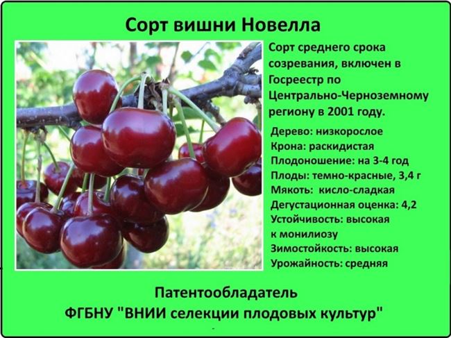 Минусы
