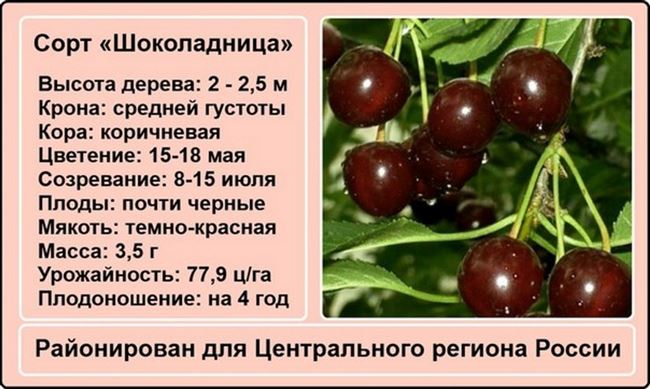 Отводки
