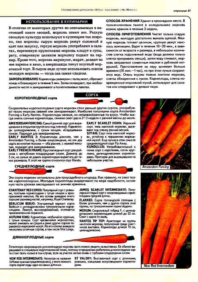 Характеристики сорта