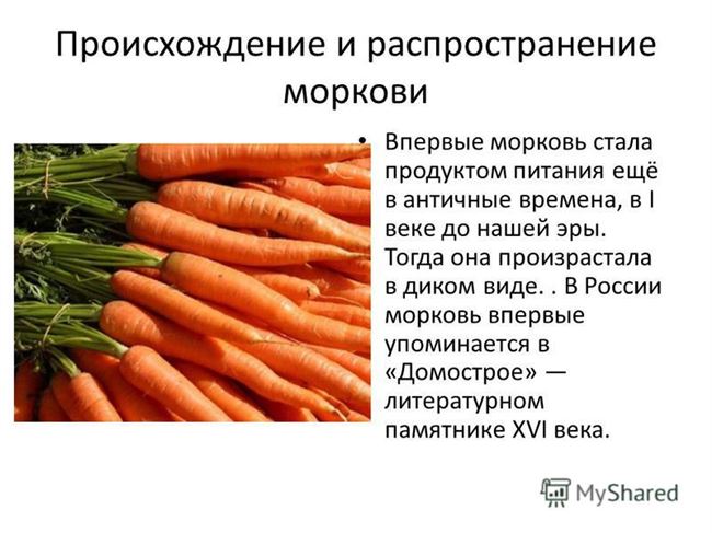 Распространение и экология