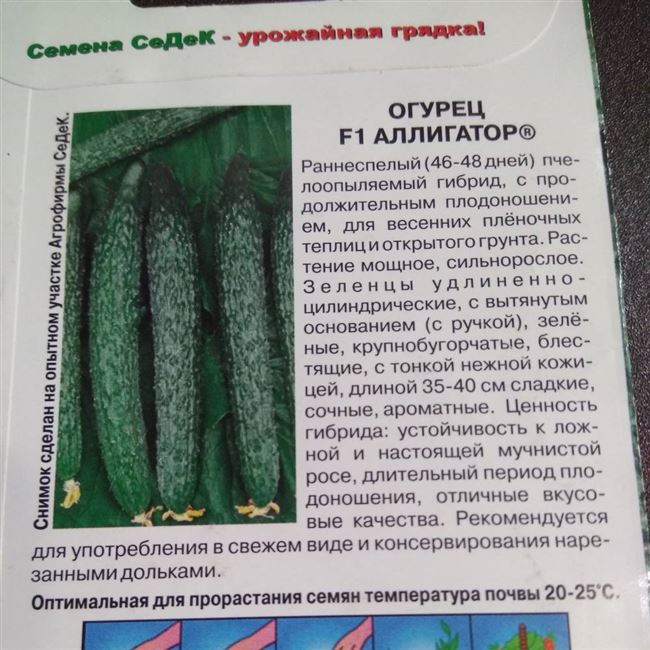 Статьи