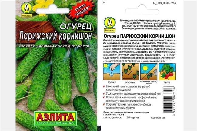 Оставьте комментарий Отменить ответ