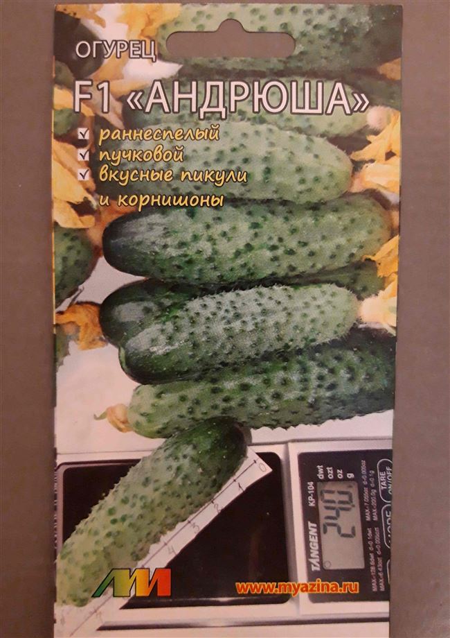 Полив