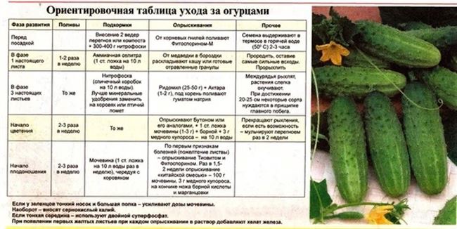 Посадка