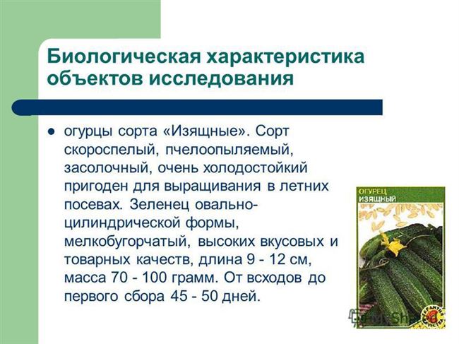 Общая характеристика холодостойких и теневыносливых сортов