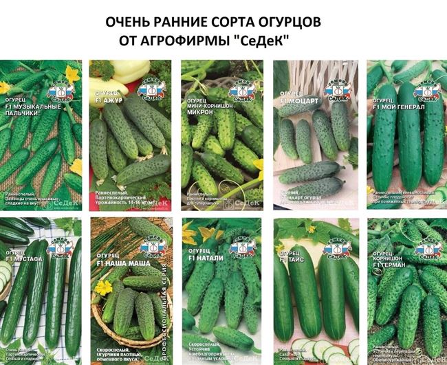 Описание сорта