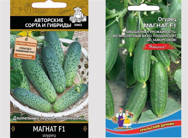Статьи
