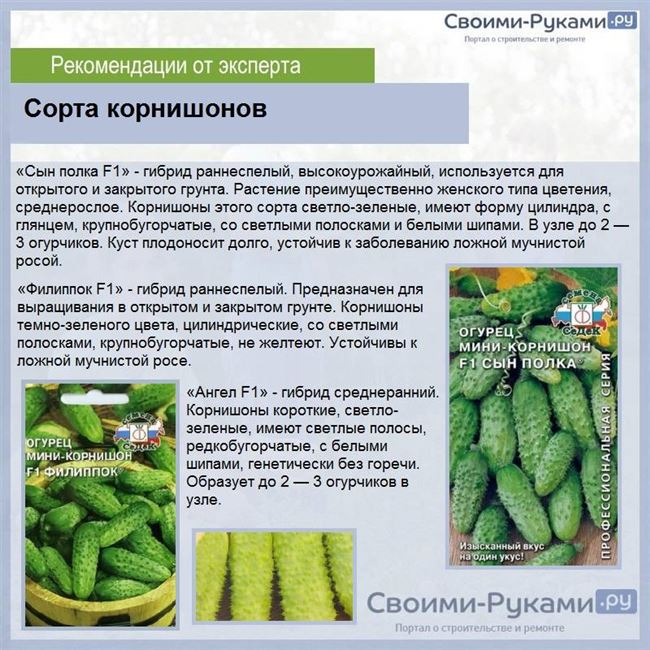 Грунт для огурчиков