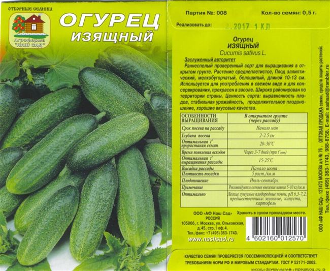 Описание сорта огурцов Изящный