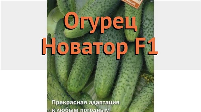 Описание                