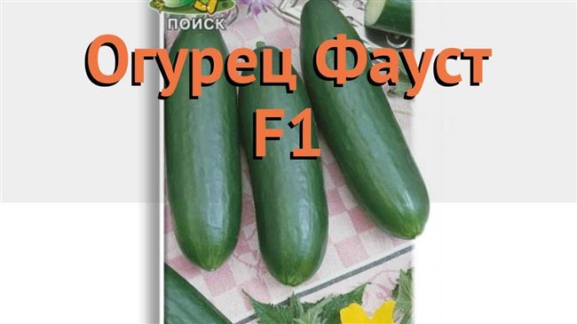 Подробное описание