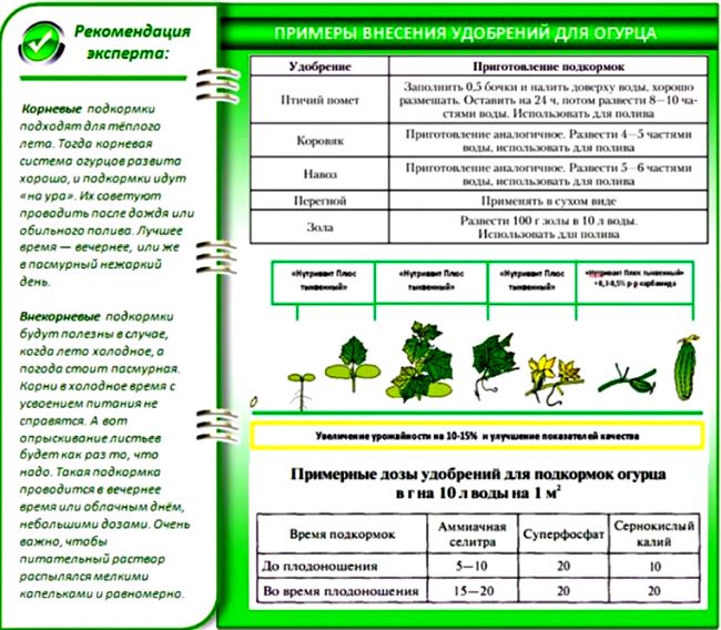 Подкормки