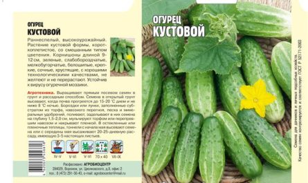 Прекрасный сорт для салатов и зимних заготовок — огурец Хлебосольный F1: описание и отзывы