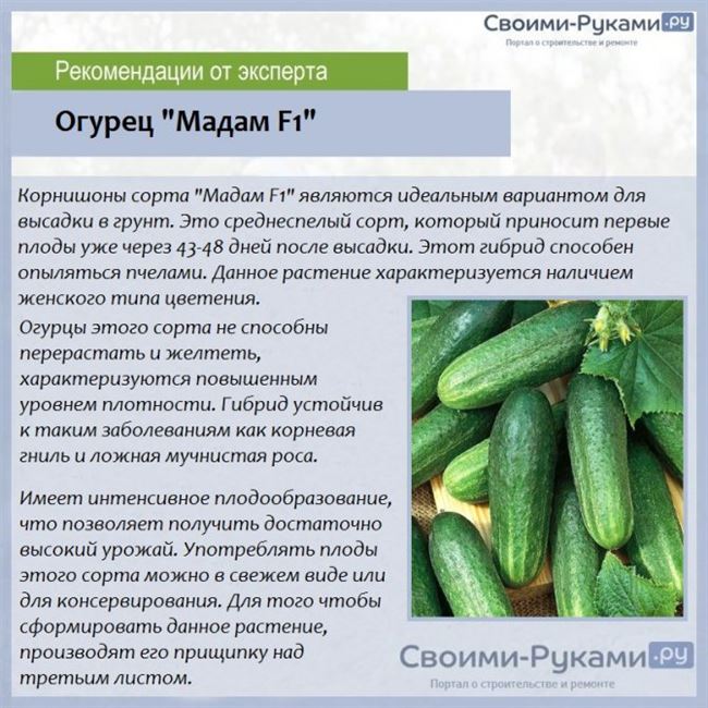 Наши проекты
