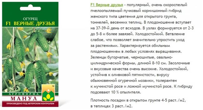 В чем разница между устойчивостью и толерантностью к болезни