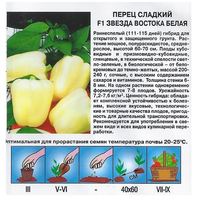 Особенности ухода