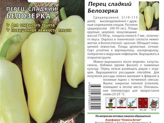 Описание и характеристики сорта. Сладкий перец Белозерка – какой он?