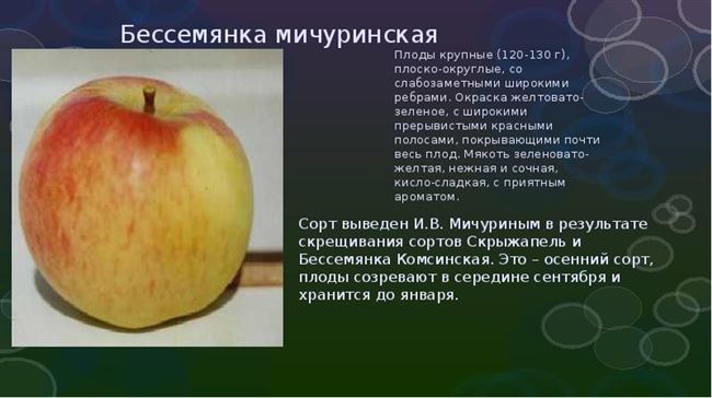 Плюсы и минусы сорта