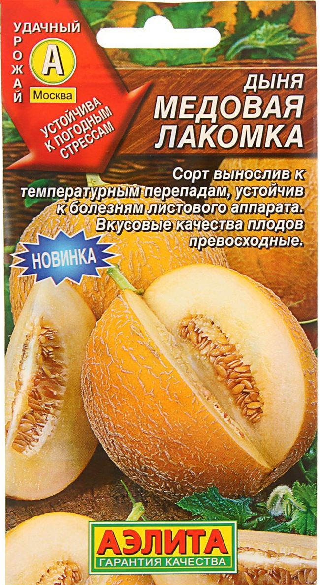 Медовые сорта дынь: обзор лучших тыквин со вкусом меда