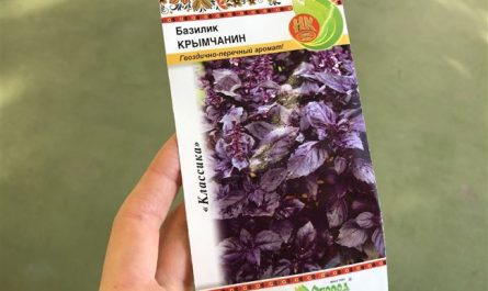 Семена Русский Огород Базилик Крымчанин - отзыв