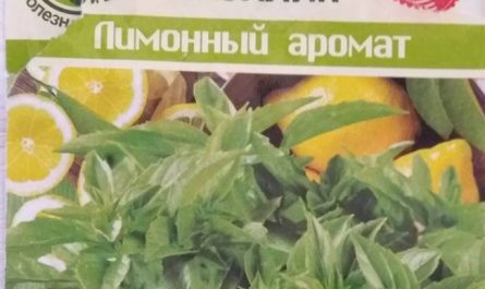 Применение базилика лимонного на кухне и в уходе за собой