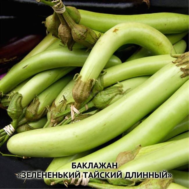 Баклажан Йога, зеленоплодный 0,3 г