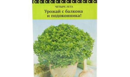 Базилик овощной Шалун