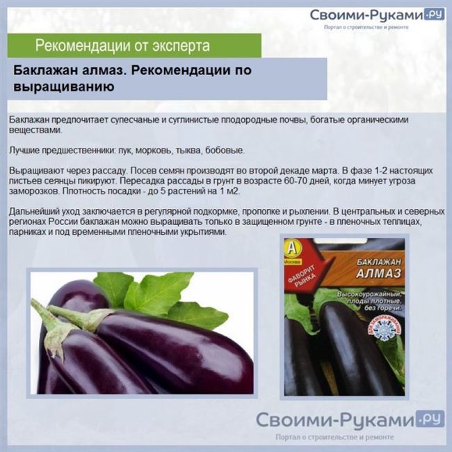 Полив и подкормка