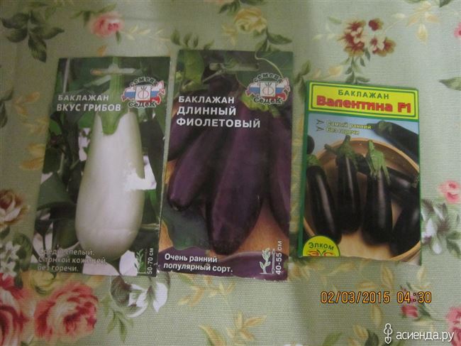 Вкус грибов