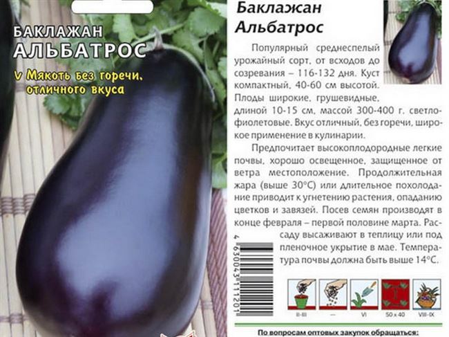 Описание и фото сортов белых баклажандля открытого грунта