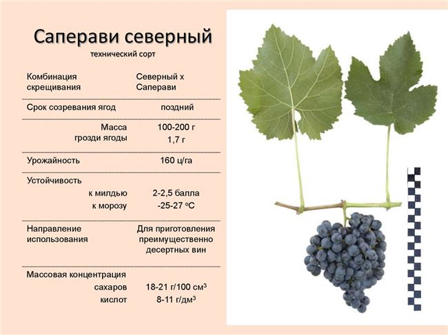 Выбор места посадки