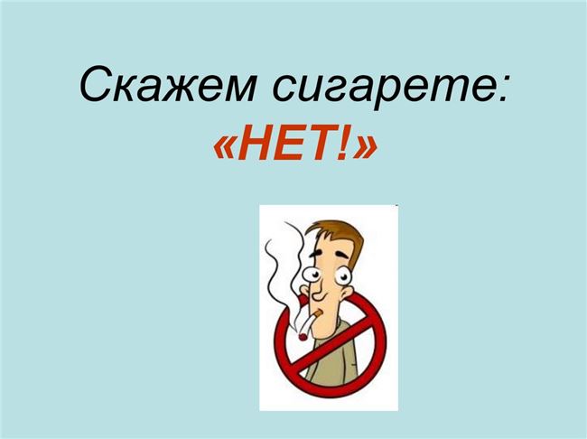 Скажем «нет!» опасным насекомым