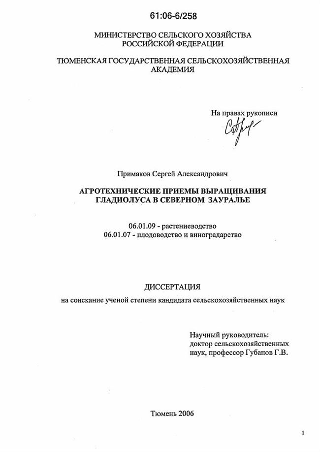 Заключение Диссертация по теме