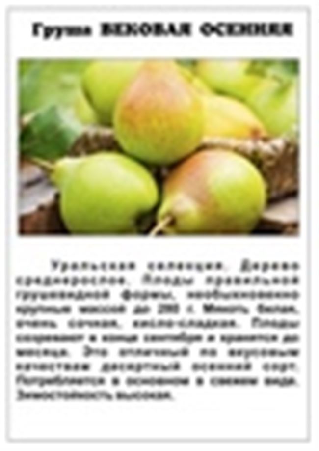 Краткая характеристика