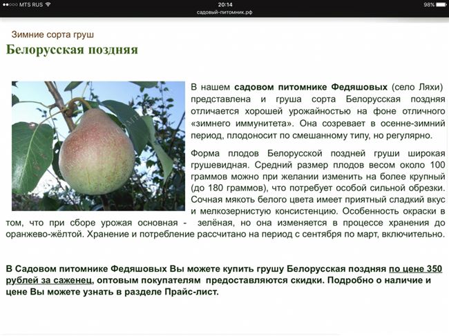 Каменистость плода