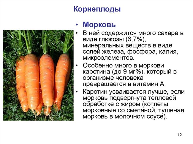 Внешнее описание и вкусовые качества корнеплода