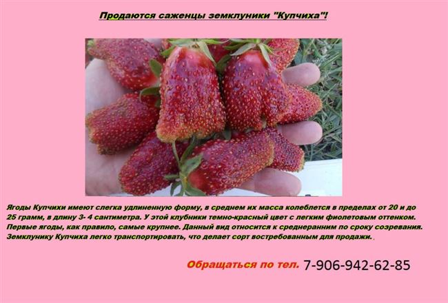 Таблица с характеристиками сорта