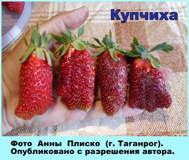 Посадка