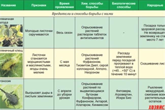 Борьба с вредителями и болезнями