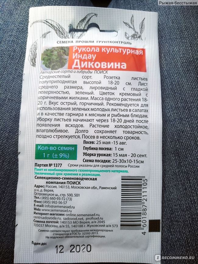 Рукола проста в выращивании и нетребовательна в уходе. В статье описаны особенности посадки, ухода и методов борьбы с болезнями и вредителями руколы.