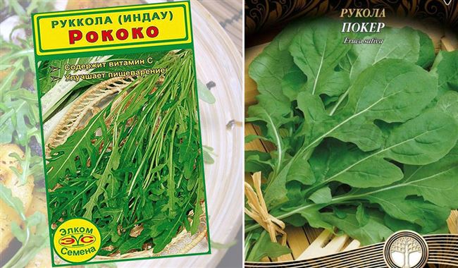 Отзыв о Семенаруколы AGRONI «Индау РОКОКО» | Семена хорошие но их мало.
