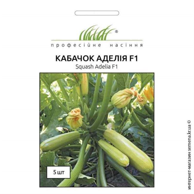 Сорт растения Кабачок — Аделия. Свойства и характеристики сорта Аделия. База сортов и гибридов растений для выращивания на своем участке. Подбор сортов по критериям.