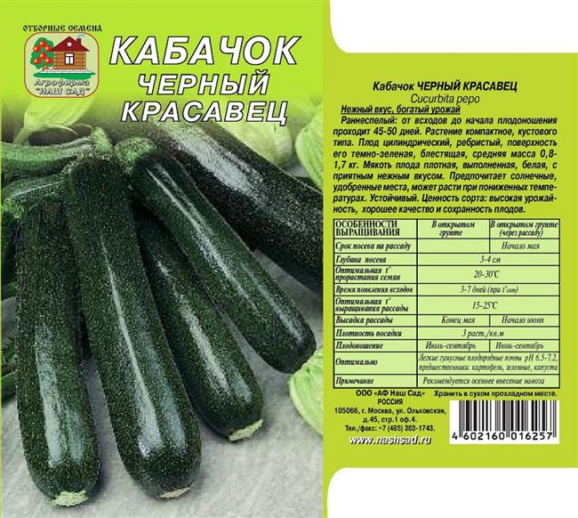 Кабачки - выращивание, уход, сбор и хранение урожая