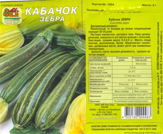 Плюсы и минусы сорта кабачков