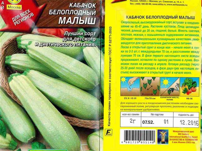Выбираем лучшие сорта кабачков с нужными характеристиками
