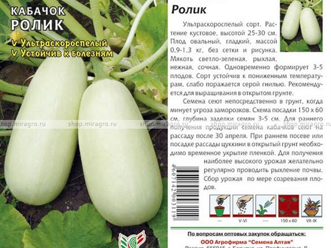 Уход за рассадой